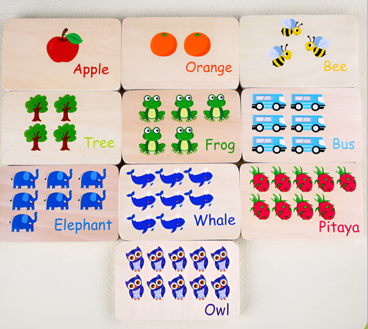 Set Tavole di Conteggio con Piolini in Legno Montessori