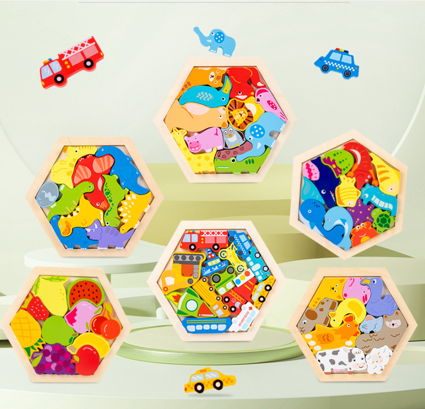 Set Puzzle 3D in Legno Montessori