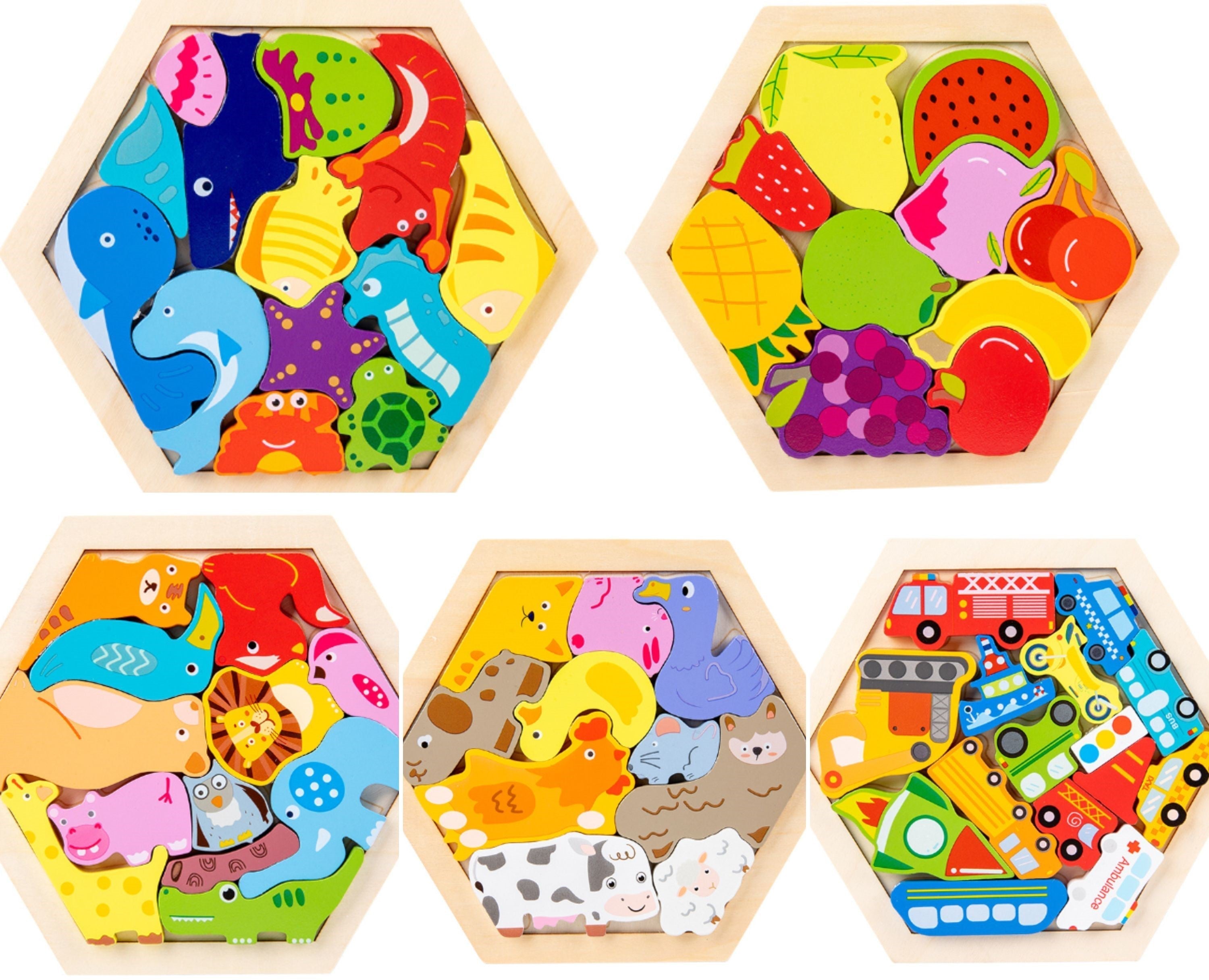 Set Puzzle 3D in Legno Montessori