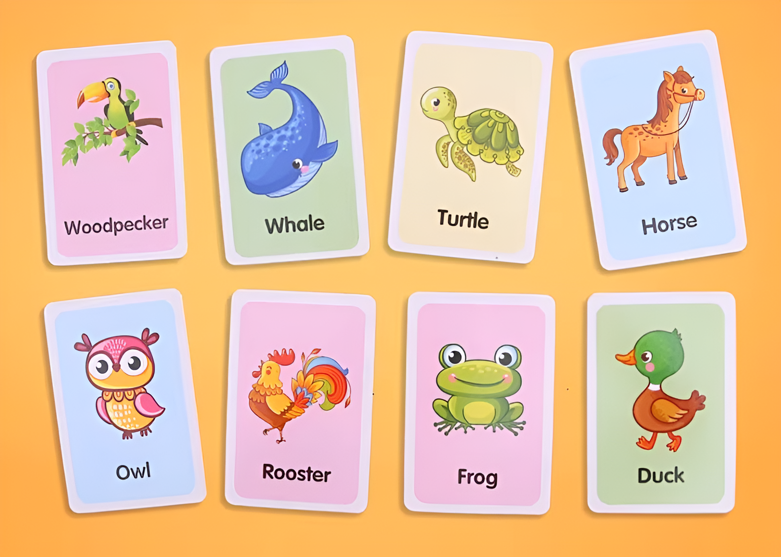 Flashcard Educative Montessori
