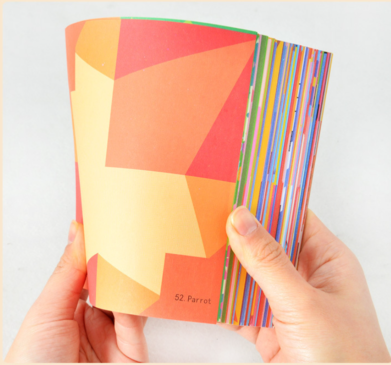 Kit Origami Montessori